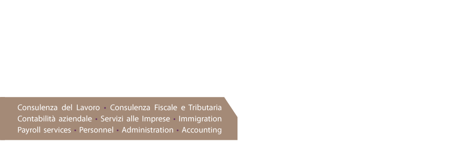 Consulenza del lavoro, consulenza fiscale e tributaria, contabilità azienda, servizi alle imprese, immigrazione, amministrazione, accounting